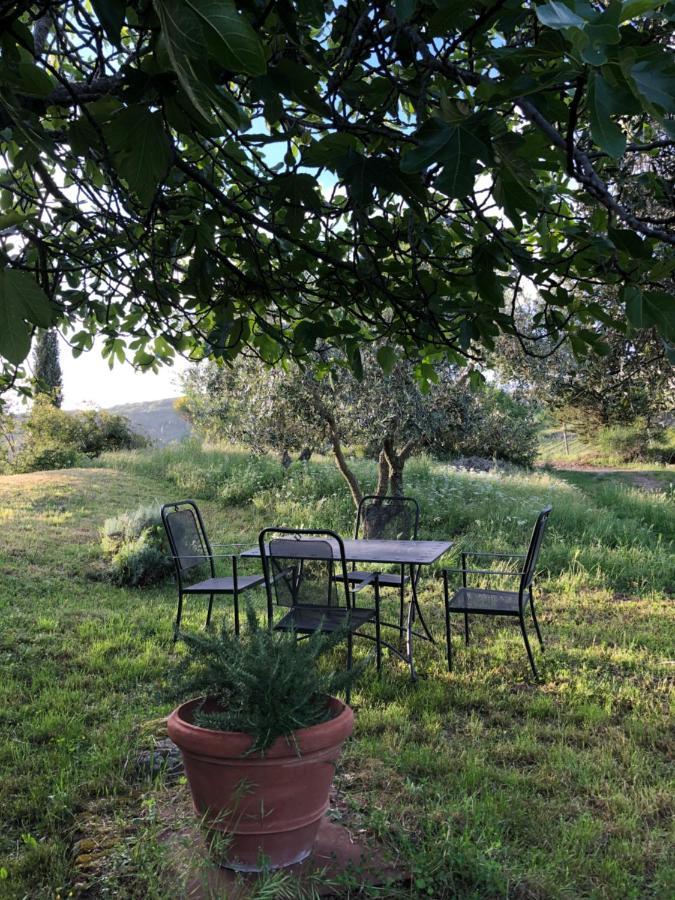 Podere Pruneto Radda In Chianti Esterno foto